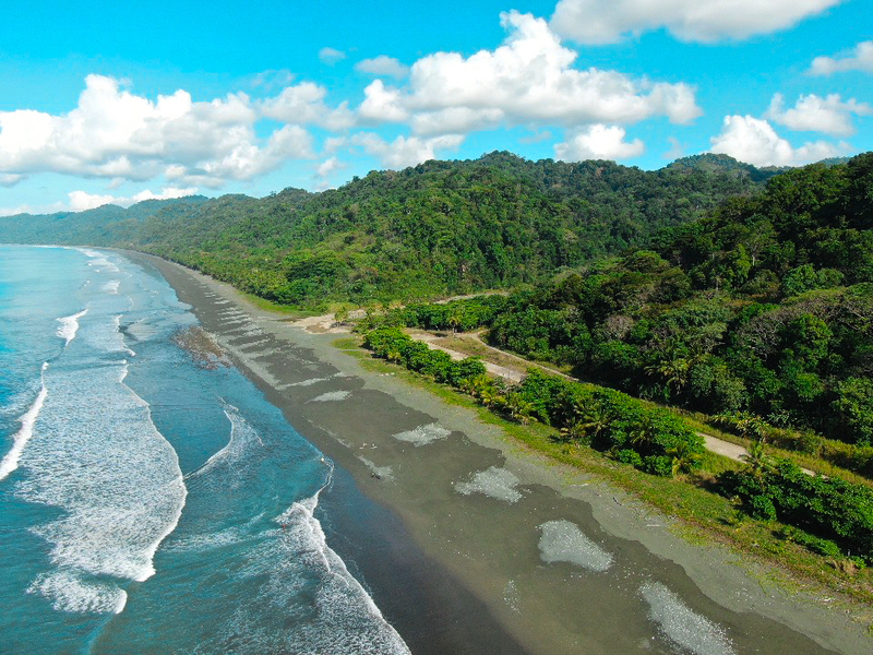 Land For Sale in Cabo Matapalo Costa Rica